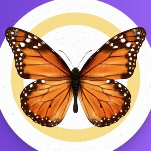 coaching TransformACCIÓN