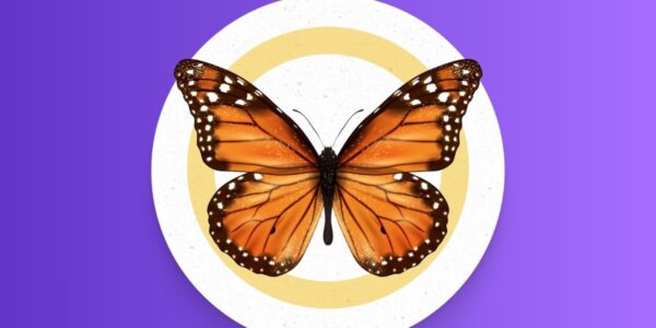 coaching TransformACCIÓN